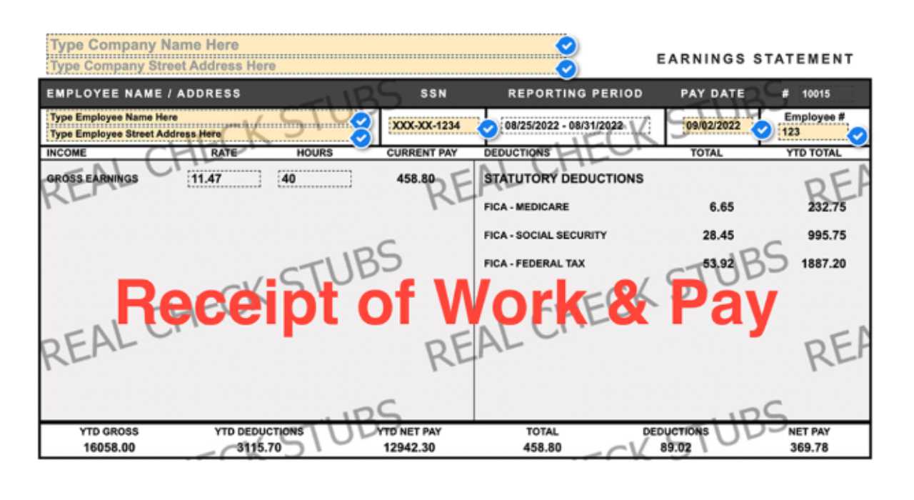 How to Use This Printable Pay Stub Template